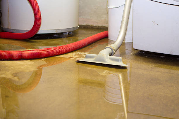 Best Water damage restoration specialists  in Clarksburg, MD