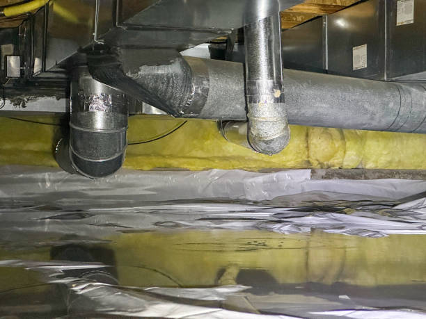 Best Water damage mitigation services  in Clarksburg, MD